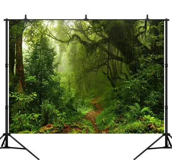 Lyavshi Džungle Vinil Ozadje Drevo Wonderland Pot Deževnega Gozda Foto Studio Photobooth Fotografija Ozadja